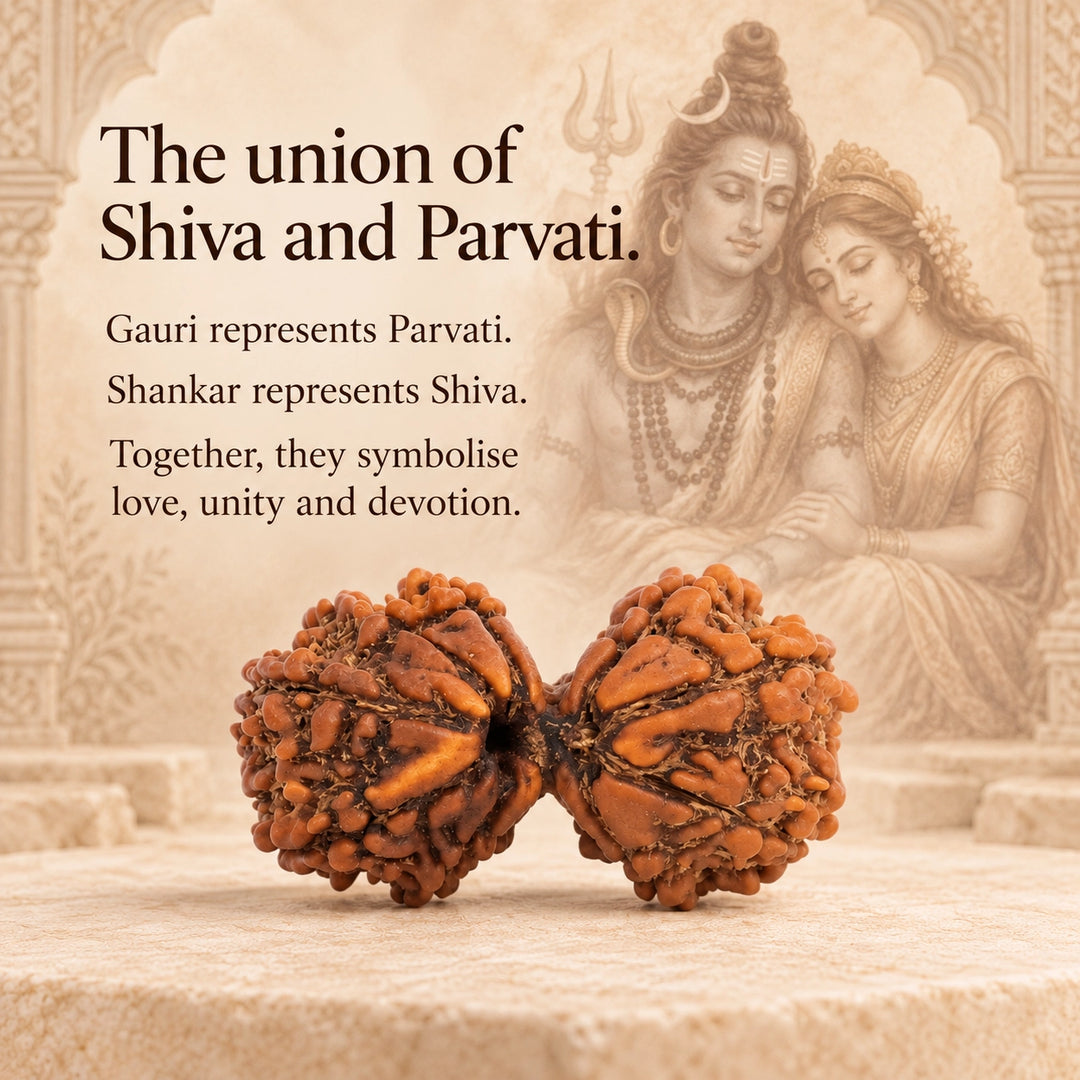 Gauri Shankar Original Rudraksha - Nepal Origin | Lab Tested Certified