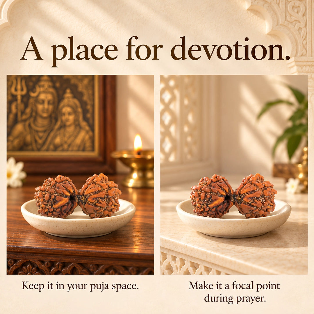 Gauri Shankar Original Rudraksha - Nepal Origin | Lab Tested Certified