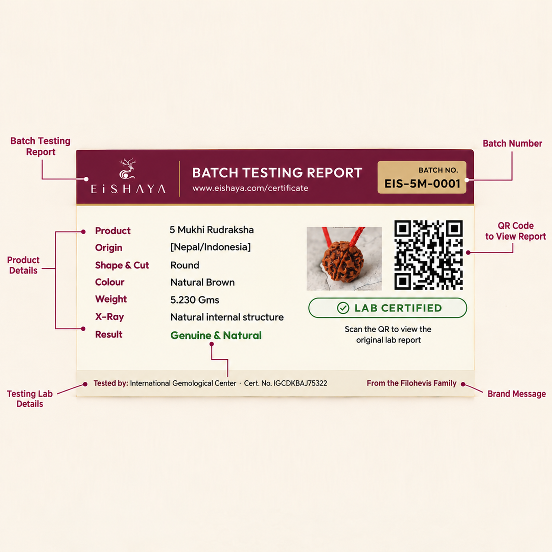 5 Mukhi Rudraksha - Original Natural Sacred Bead | Lab Tested Certified